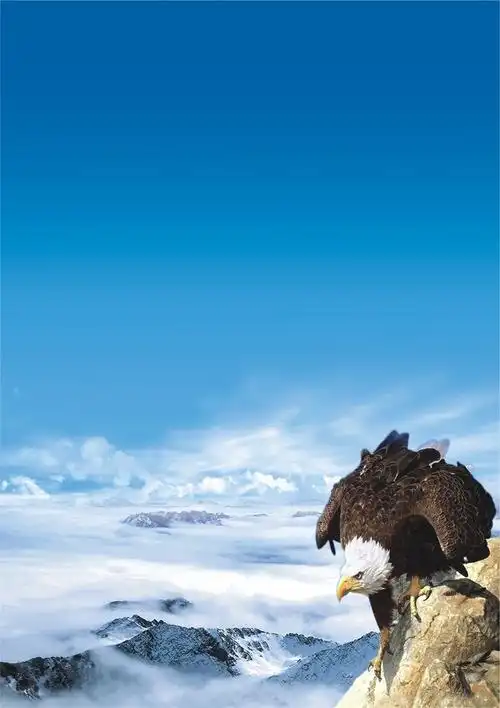 济南白癜风医院_山东治疗白癜风_济南白癜风专科医院_山东济南白癜风医院